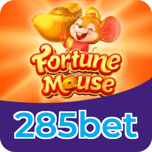 Interface 285bet